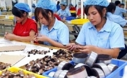 Các dự án FDI tăng vốn đầu tư thêm hơn 5 tỷ USD