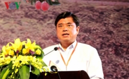 Vải thiều Bắc Giang đạt giá trị cao nhất trong 60 năm qua
