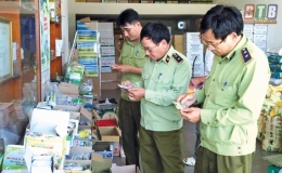 Chưa phát hiện thuốc bảo vệ thực vật giả