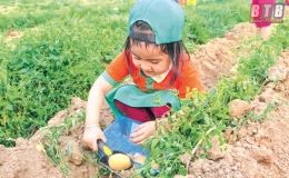 Khó khăn trong quản lý các nhóm trẻ mầm non độc lập
