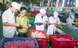 Tích cực đấu tranh với hành vi gian lận thương mại