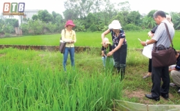 Quyết liệt chống buôn lậu, gian lận thương mại và hàng giả