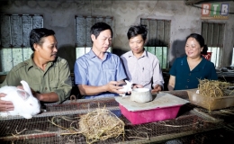 Vai trò của nông dân trong phát triển nông nghiệp, nông thôn