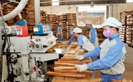 Việt Nam đứng thứ 5 thế giới về chế biến gỗ, lâm sản