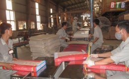 Mở rộng khu công nghiệp Tiền Hải: Kết quả từ sự đồng thuận