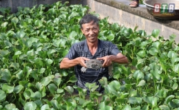 Làm chơi - ăn thật