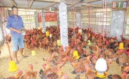 Phát huy truyền thống anh hùng, xây dựng Minh Tân giàu đẹp