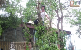 Điện lực Thái Thụy chủ động ứng phó mưa bão