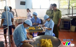 Tăng cường xử lý vi phạm về an toàn thực phẩm trong dịp Tết Trung thu 2018