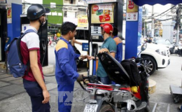 Giá xăng ổn định, giá dầu diesel tăng nhẹ