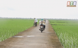 Tự hào vùng đất anh hùng