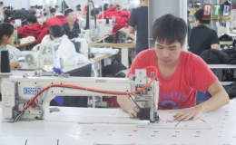 Công ty TNHH Thanh Hương: Điểm sáng trên đất anh hùng