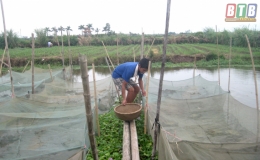 Bảo vệ các đối tượng thủy sản trước cơn bão số 3