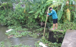 Thái Thụy: Chủ động phòng, chống ngập úng do ảnh hưởng của bão số 3