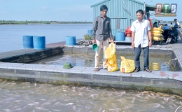 Giáo xứ Tân Mỹ thi đua xây dựng “Xứ, họ đạo 4 gương mẫu”