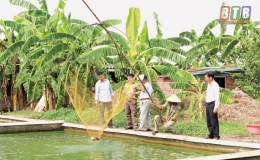 Vượt lên đói nghèo