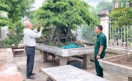 “Ông Thi dân vận”