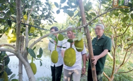 Vượt lên nỗi đau