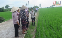 Kiến Xương: Phát huy hiệu quả hoạt động của các hợp tác xã