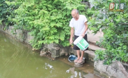 Cựu chiến binh Vũ Ngọc Huyến phát triển kinh tế VAC