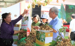 Khai mạc Tuần lễ Nhãn lồng và nông sản tỉnh Hưng Yên năm 2019