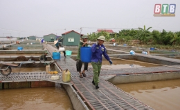 Bảo vệ an toàn cá lồng trong mùa mưa bão