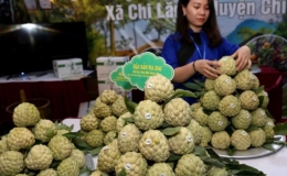 Ngày hội na Chi Lăng lần thứ ba năm 2019