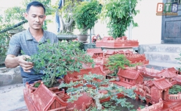 Làm giàu từ mô hình tiểu cảnh mini