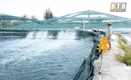 Tái cơ cấu ngành nông nghiệp: Thành công và thách thức
