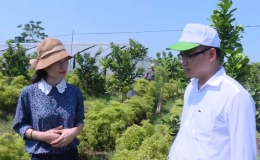 Lê Ngọc Huê – người làm nên thương hiệu Trà Thái Hưng