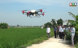 Hưng Hà tập trung phòng trừ sâu bệnh, bảo vệ lúa mùa