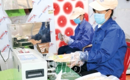 Chế biến nông sản - “địa hạt” còn nhiều tiềm năng