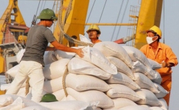 Giá gạo xuất khẩu của Việt Nam tăng thêm 5 USD/tấn
