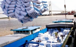 Giá gạo xuất khẩu Việt Nam vươn lên dẫn đầu thế giới