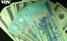 Giá USD vẫn chưa ngừng lao dốc
