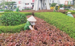Hội LHPN thành phố: Chung tay vì môi trường