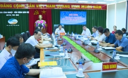 Hội nghị trực tuyến tổng kết năm học 2019-2020 cấp tiểu học