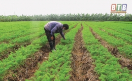 Những rào cản tích tụ, tập trung đất đai