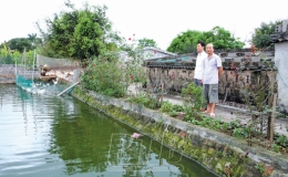 Nông dân xã Đông Lâm: Thi đua sản xuất, kinh doanh giỏi