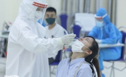 Ổ dịch Đà Nẵng, Quảng Nam, Hải Dương đã được kiểm soát