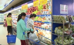 Tháng 8, CPI của cả nước tăng nhẹ 0,07%