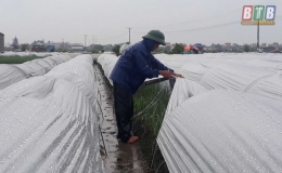 Tích cực tháo gạn nước trong đồng