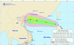 Tin áp thấp nhiệt đới trên biển Đông
