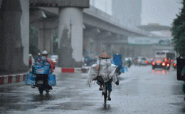 Tin dự báo mưa dông tại Thái Bình