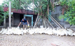 Vốn tín dụng chính sách: Góp phần nâng cao chất lượng cuộc sống