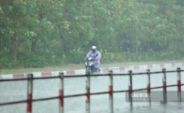 Dự báo thời tiết 13/8: Bắc Bộ ngày tăng nhiệt nhẹ, chiều tối trở mưa dông