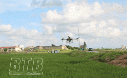 Quyết tâm giành thắng lợi vụ mùa