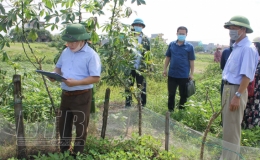 Vũ Thư: Thực hiện cưỡng chế kiểm đếm bắt buộc đối với đất lúa của 1 gia đình tại xã Dũng Nghĩa