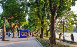 Yêu cầu khẩn trương triển khai hỗ trợ hướng dẫn viên du lịch gặp khó khăn do đại dịch Covid-19