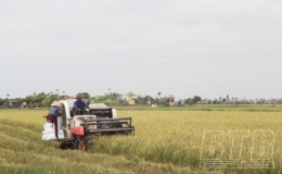 Bài 2: Bố trí đủ kinh phí hỗ trợ mua máy phục vụ sản xuất nông nghiệp